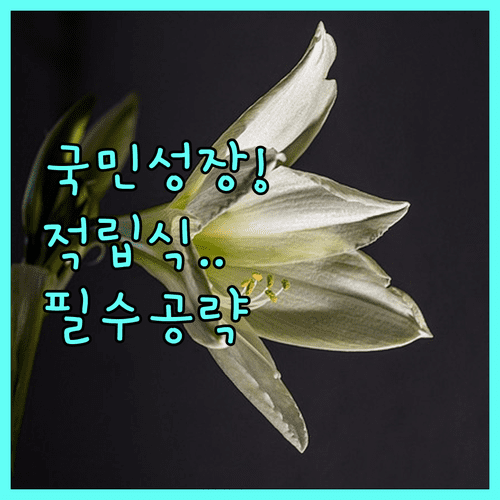 image 02caa88d
