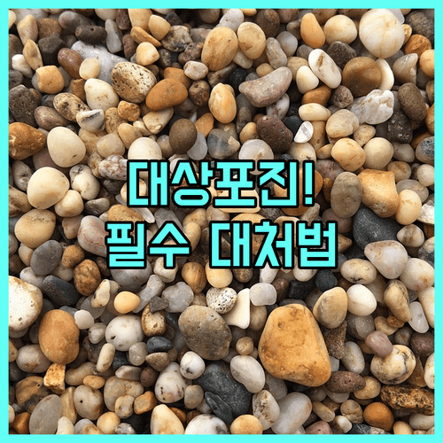 image 7c00cd99