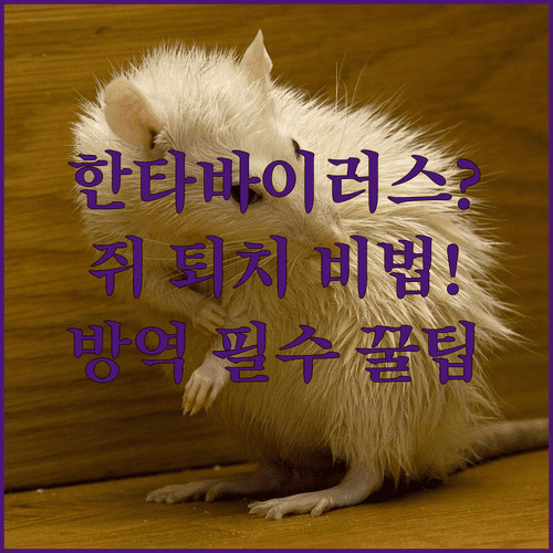 image a5909eaa