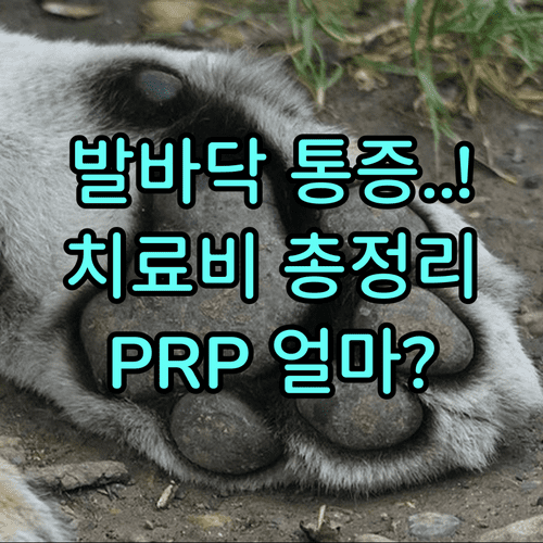 image b5a6743b