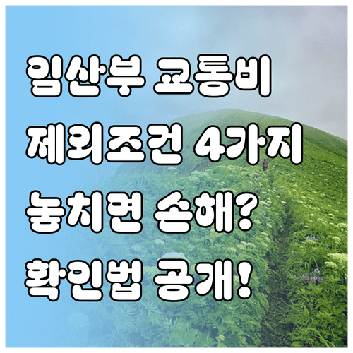 임산부 교통비 지원 제외 대상 4가지 조건과 확인 방법